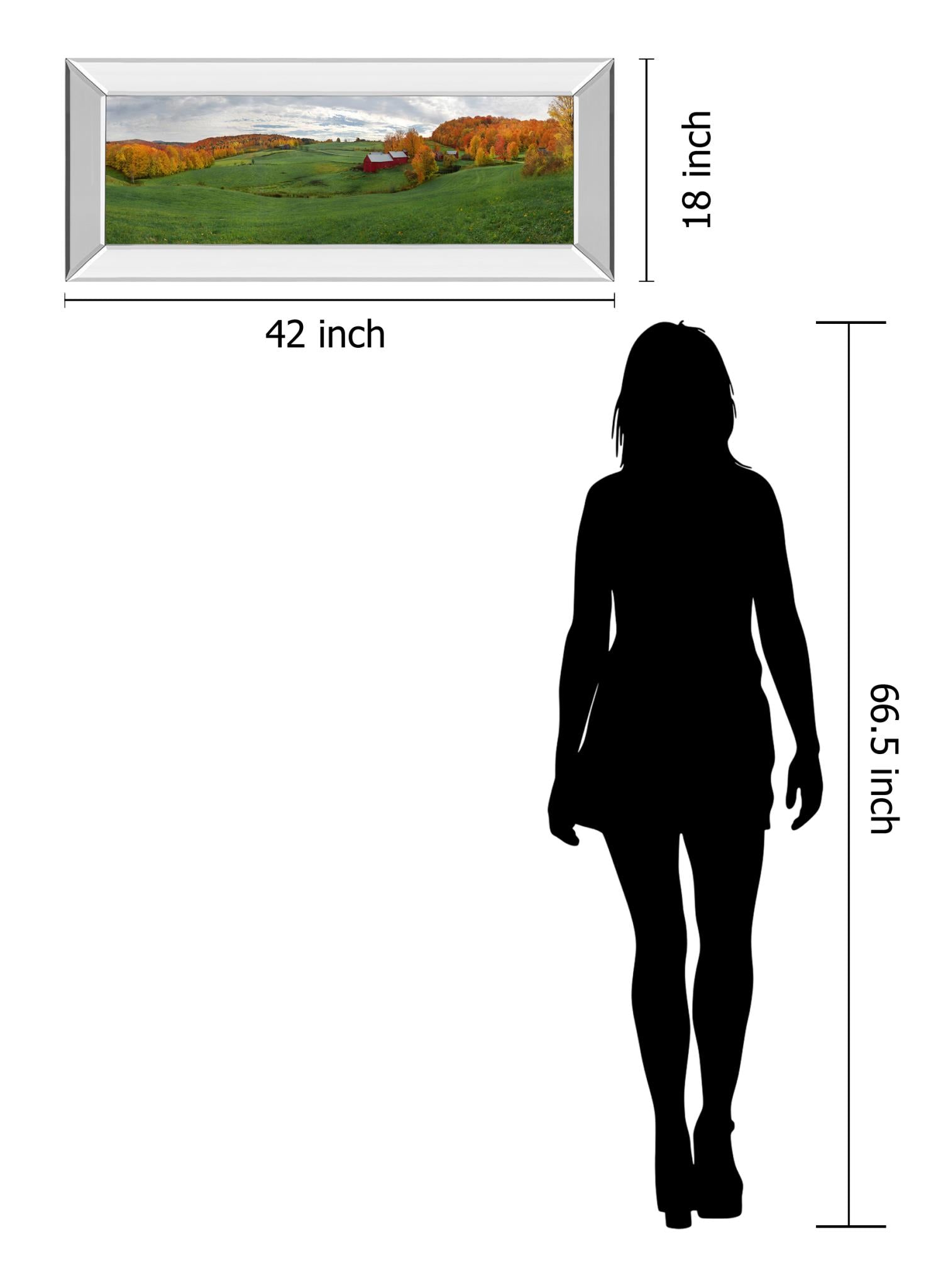 Mirrored Frame Jenne Farm By Shelley Lake 18X42 Mirror Frame Print