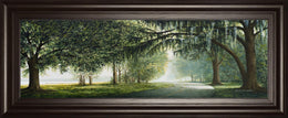 Lake Shore Drive By Bruce Nawrocke 18X42 Framed Print