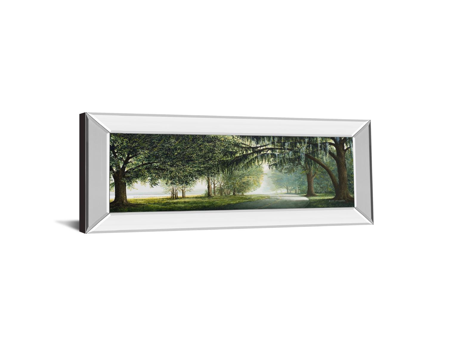 Mirrored Frame Lake Shore Drive By Bruce Nawrocke 18X42 Mirror Frame Print