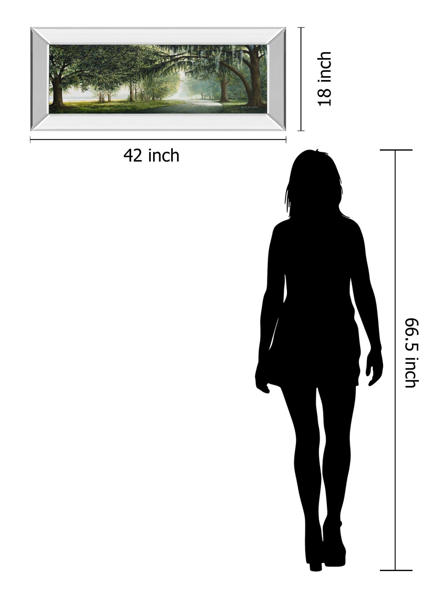 Mirrored Frame Lake Shore Drive By Bruce Nawrocke 18X42 Mirror Frame Print