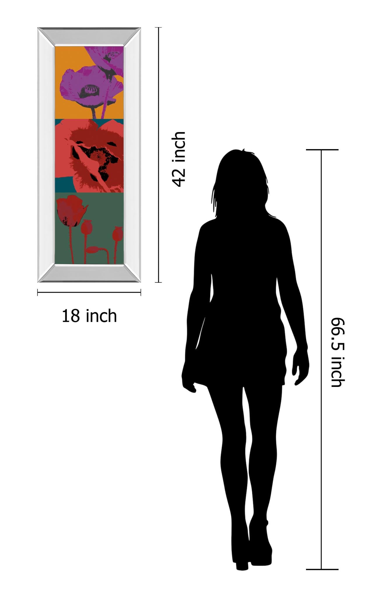 Mirrored Frame Pop Poppies By Li-Legger, D 18X42 Mirror Frame Print