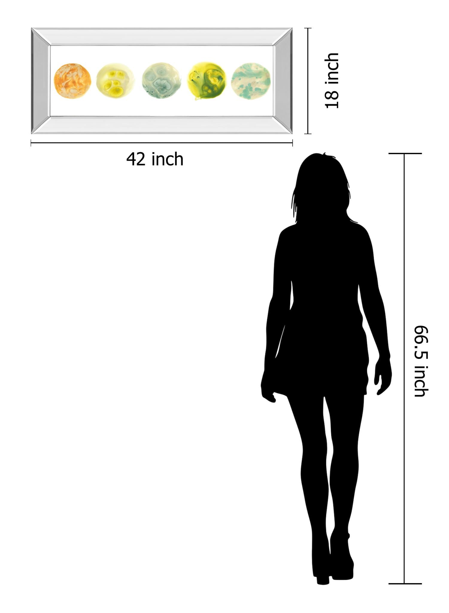 Mirrored Frame Planetary Viii By June Erica Vess 18X42 Mirror Frame Print