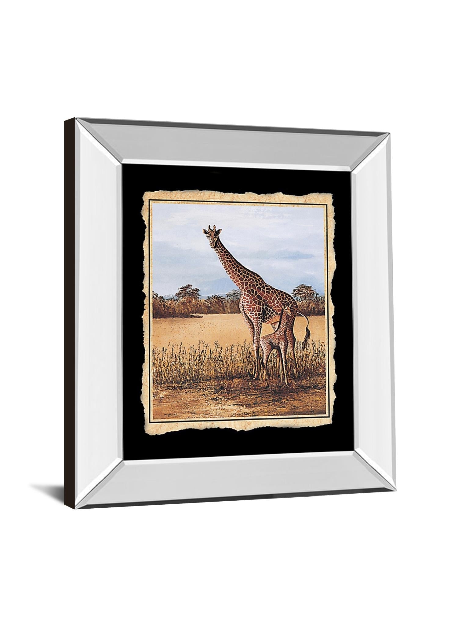 Mirrored Frame Promotional Line 22X26 22X26 Mirror Frame Print