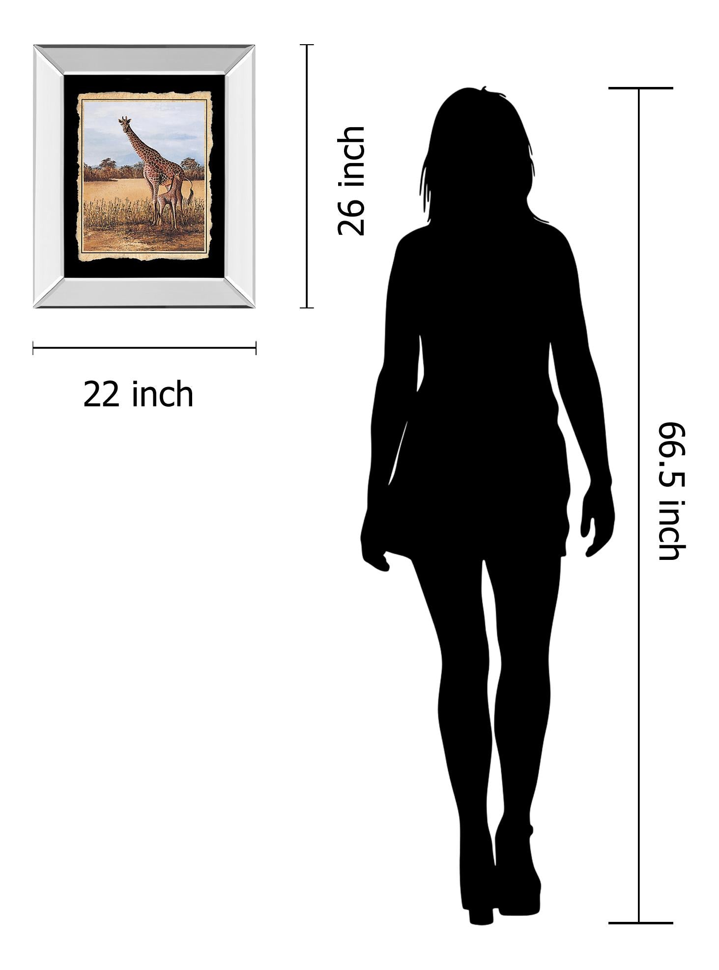 Mirrored Frame Promotional Line 22X26 22X26 Mirror Frame Print