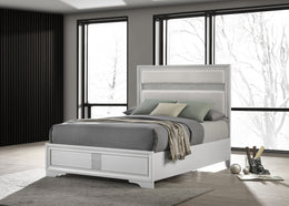Miranda 51-inch Wood California King Storage Panel Bed Black