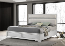 Miranda 51-inch Wood California King Storage Panel Bed Black