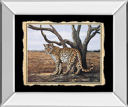 Mirrored Frame Promotional Line 22X26 22X26 Mirror Frame Print