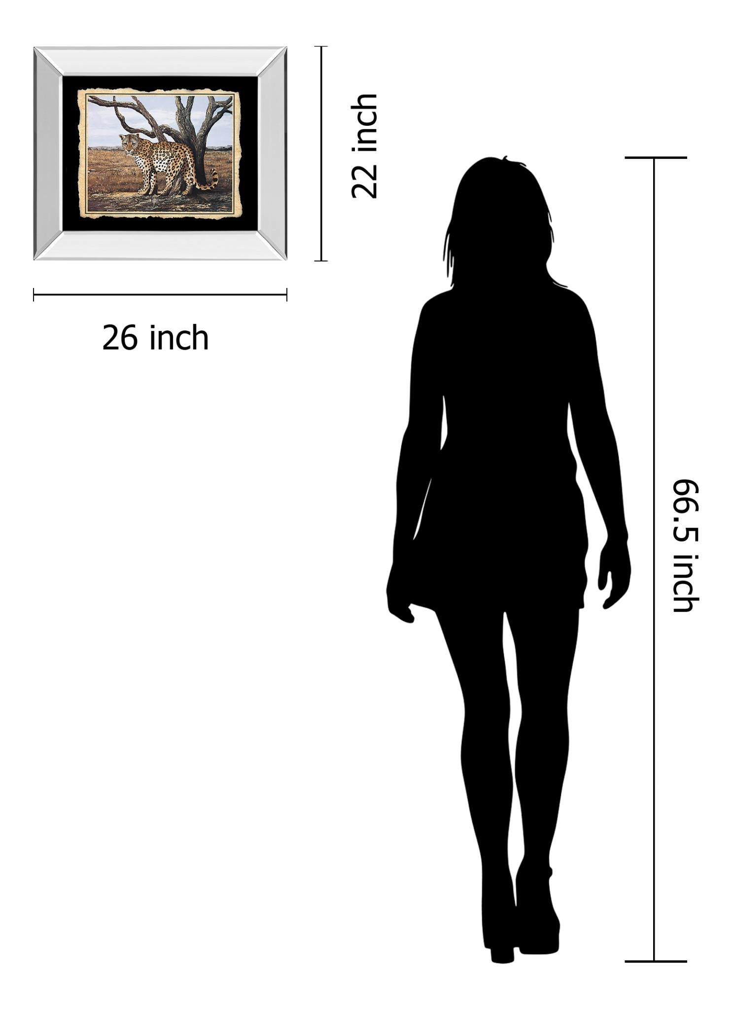 Mirrored Frame Promotional Line 22X26 22X26 Mirror Frame Print