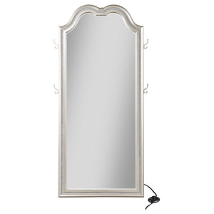 Evangeline  Length LED Light Floor Mirror Silver Oak