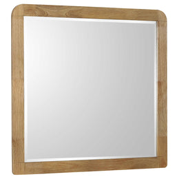 Robyn Dresser Mirror