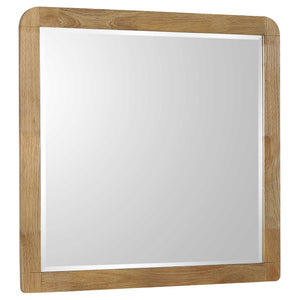 Robyn Dresser Mirror