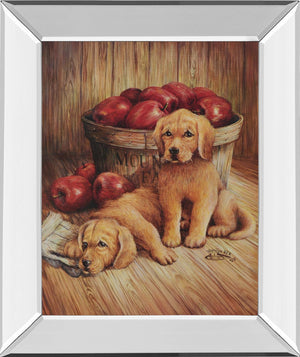 Mirrored Frame Promotional Line 22X26 22X26 Mirror Frame Print