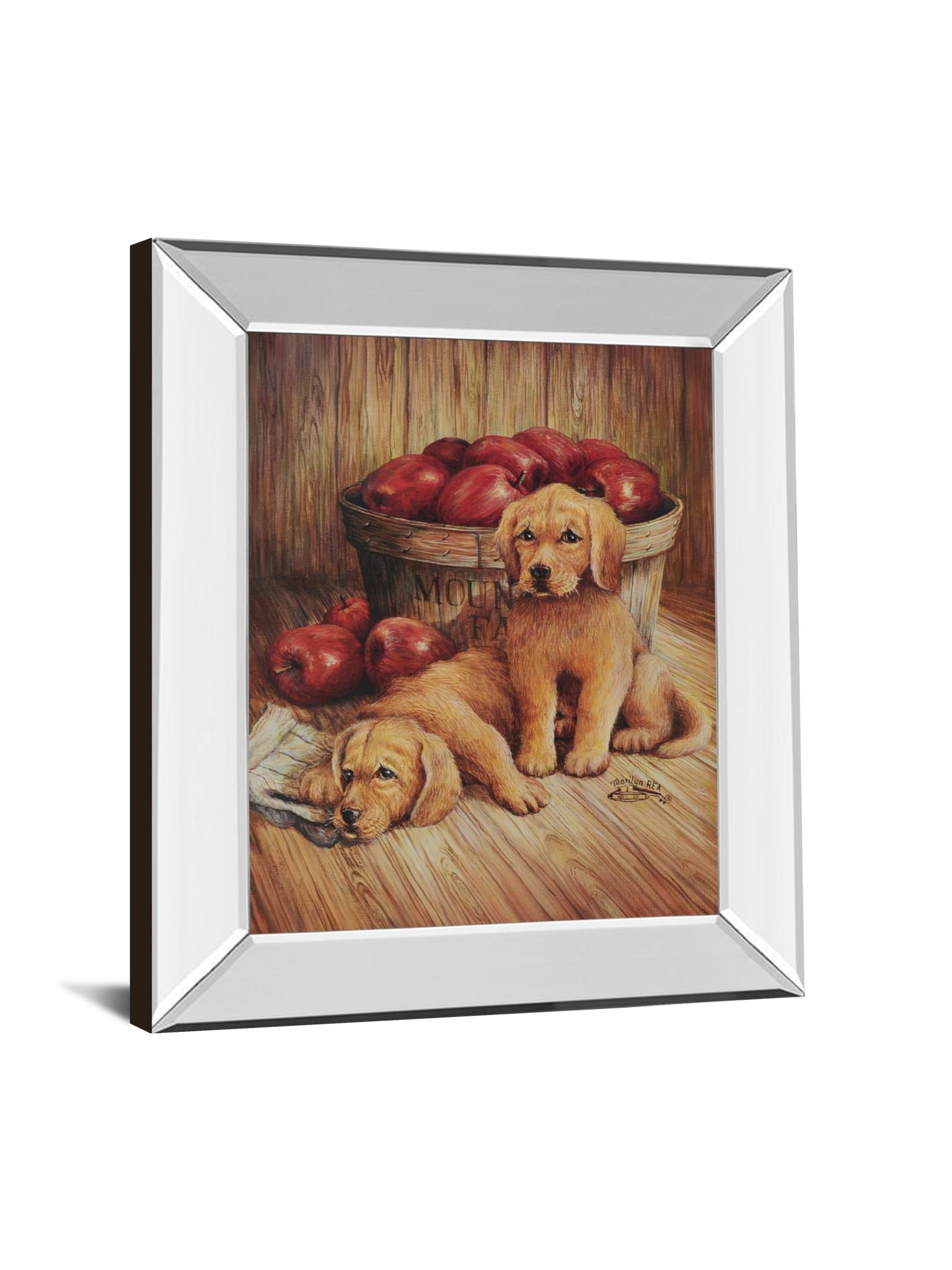 Mirrored Frame Promotional Line 22X26 22X26 Mirror Frame Print