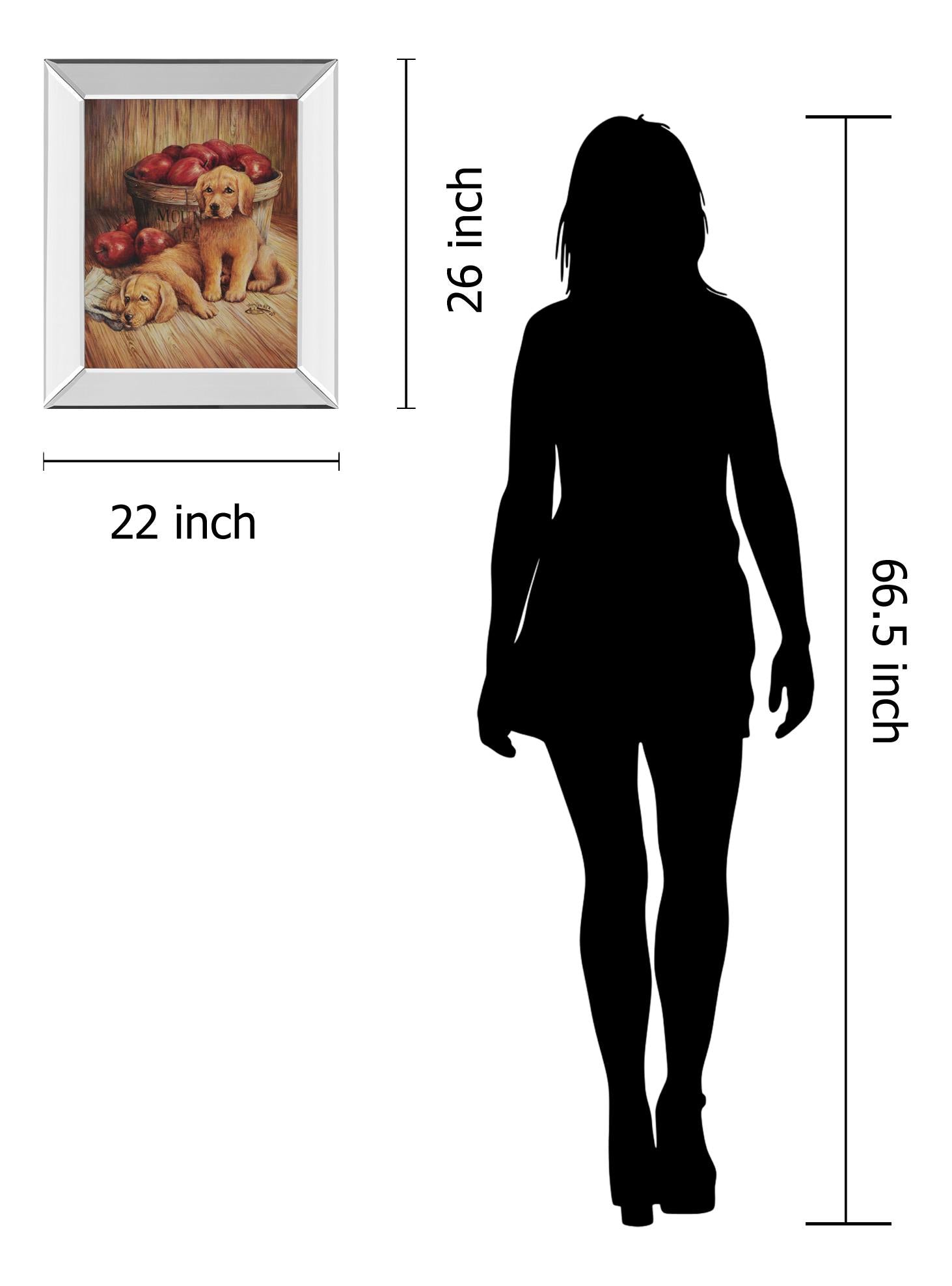 Mirrored Frame Promotional Line 22X26 22X26 Mirror Frame Print