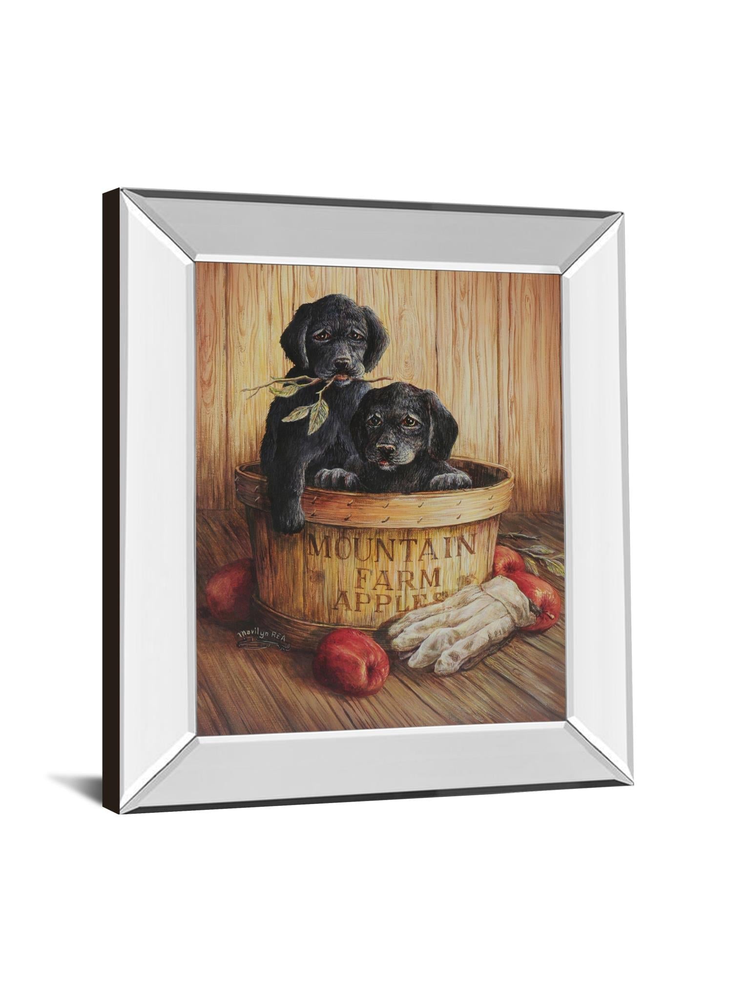 Mirrored Frame Promotional Line 22X26 22X26 Mirror Frame Print