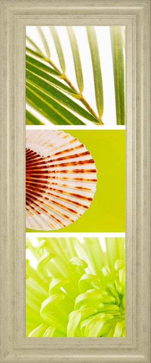 Facets Of Spring I  By Irena Orlov 18X42 Framed Print