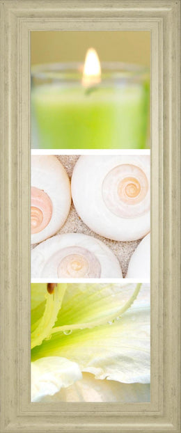 Facets Of Spring Ii By Irena Orlov 18X42 Framed Print