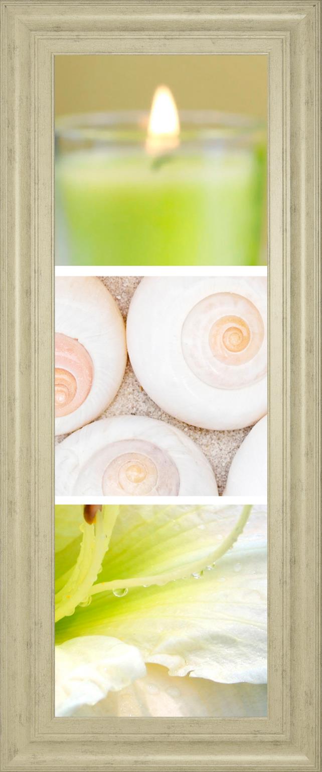 Facets Of Spring Ii By Irena Orlov 18X42 Framed Print