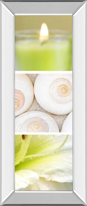 Facets Of Spring Ii By Irena Orlov 18X42 Mirror Frame Print
