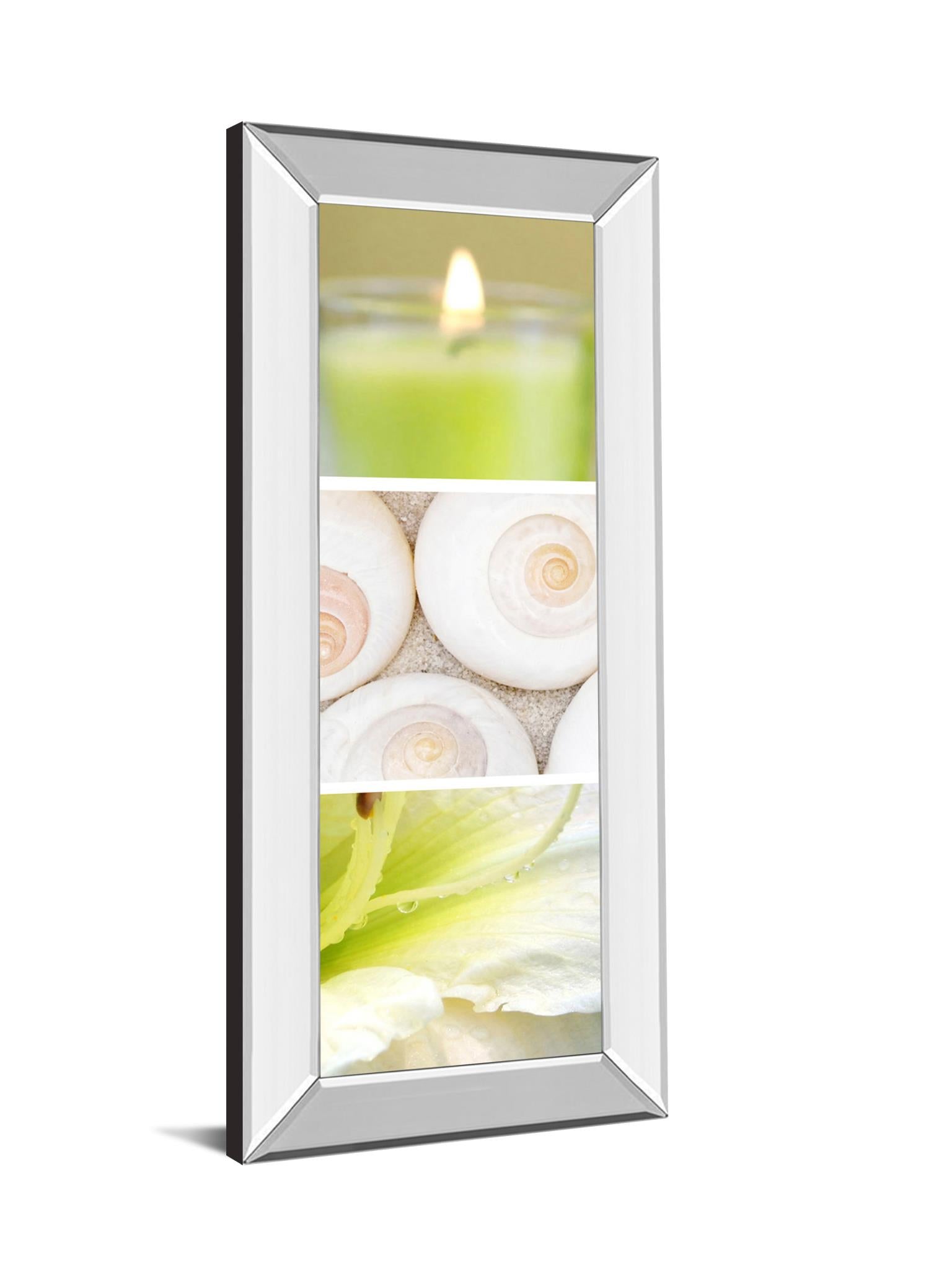 Facets Of Spring Ii By Irena Orlov 18X42 Mirror Frame Print
