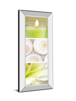 Facets Of Spring Ii By Irena Orlov 18X42 Mirror Frame Print