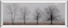Early December By Jacks, H. 18X42 Mirror Frame Print