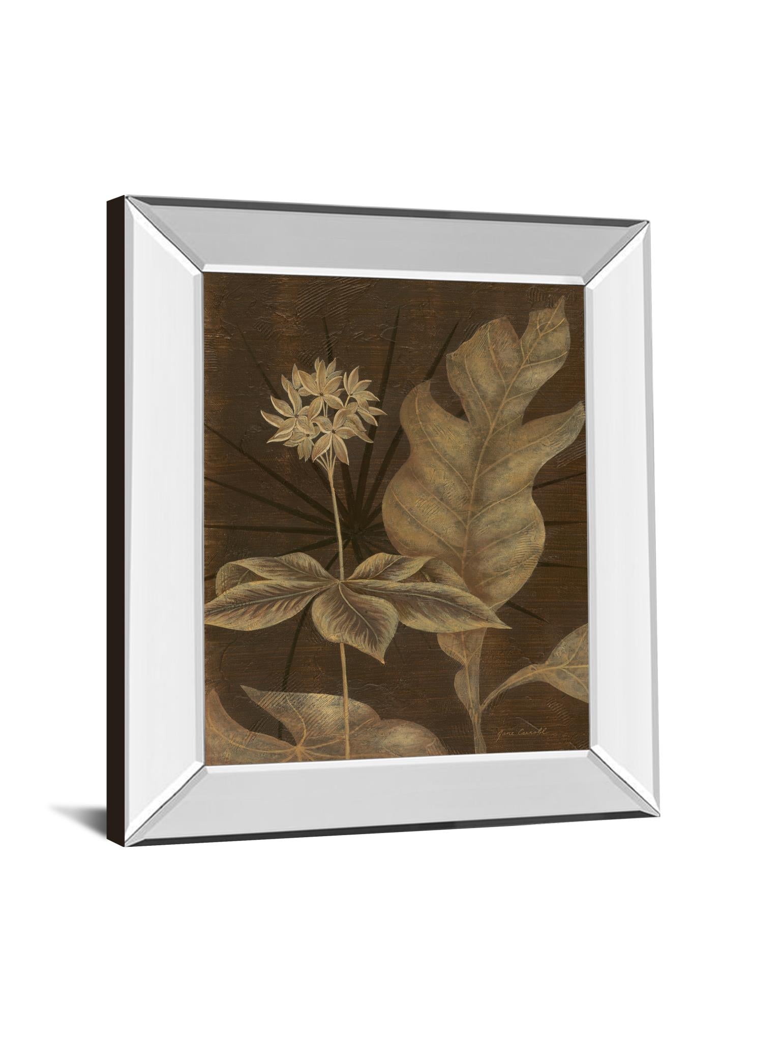 Mirrored Frame Tropical Night I By Jane Carroll 22X26 Mirror Frame Print