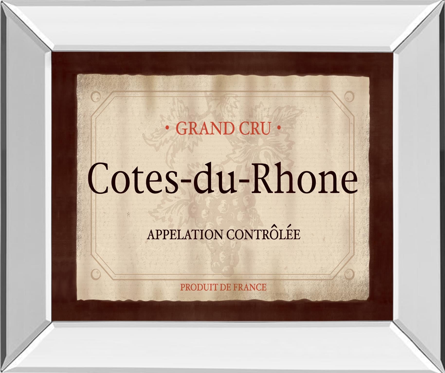 Mirrored Frame Cote Du Rhone By Paola Viveiros 22X26 Mirror Frame Print