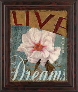 Live Your Dream By Kelly Donovan 22X26 Framed Print