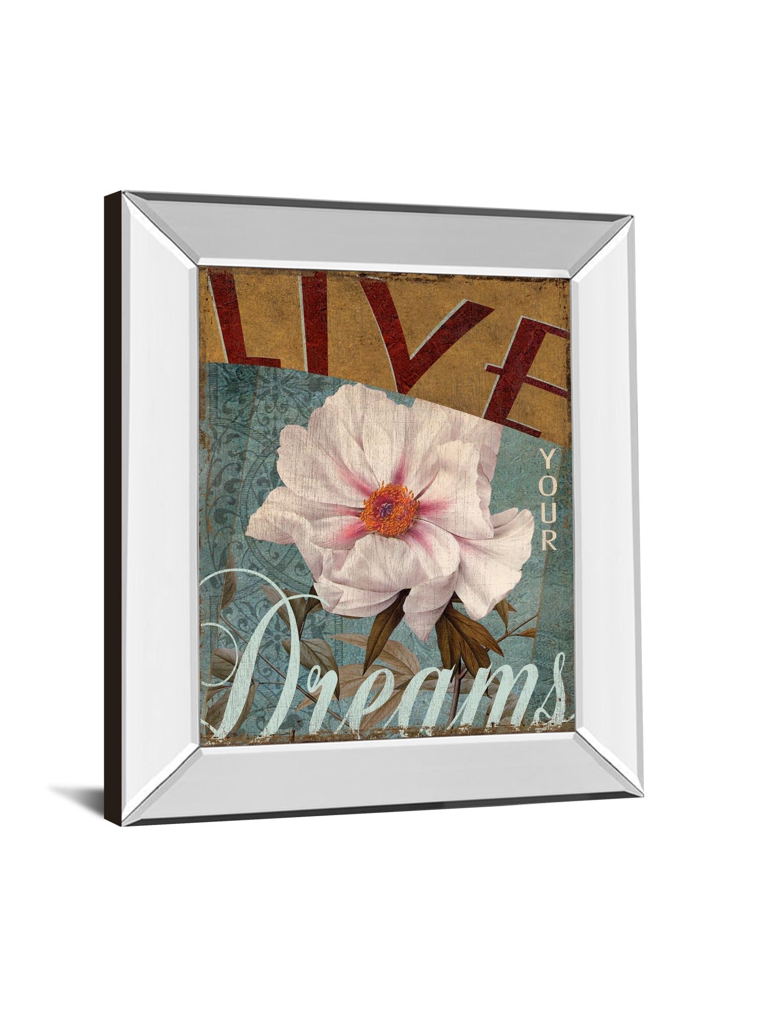 Mirrored Frame Live Your Dream By Kelly Donovan 22X26 Mirror Frame Print
