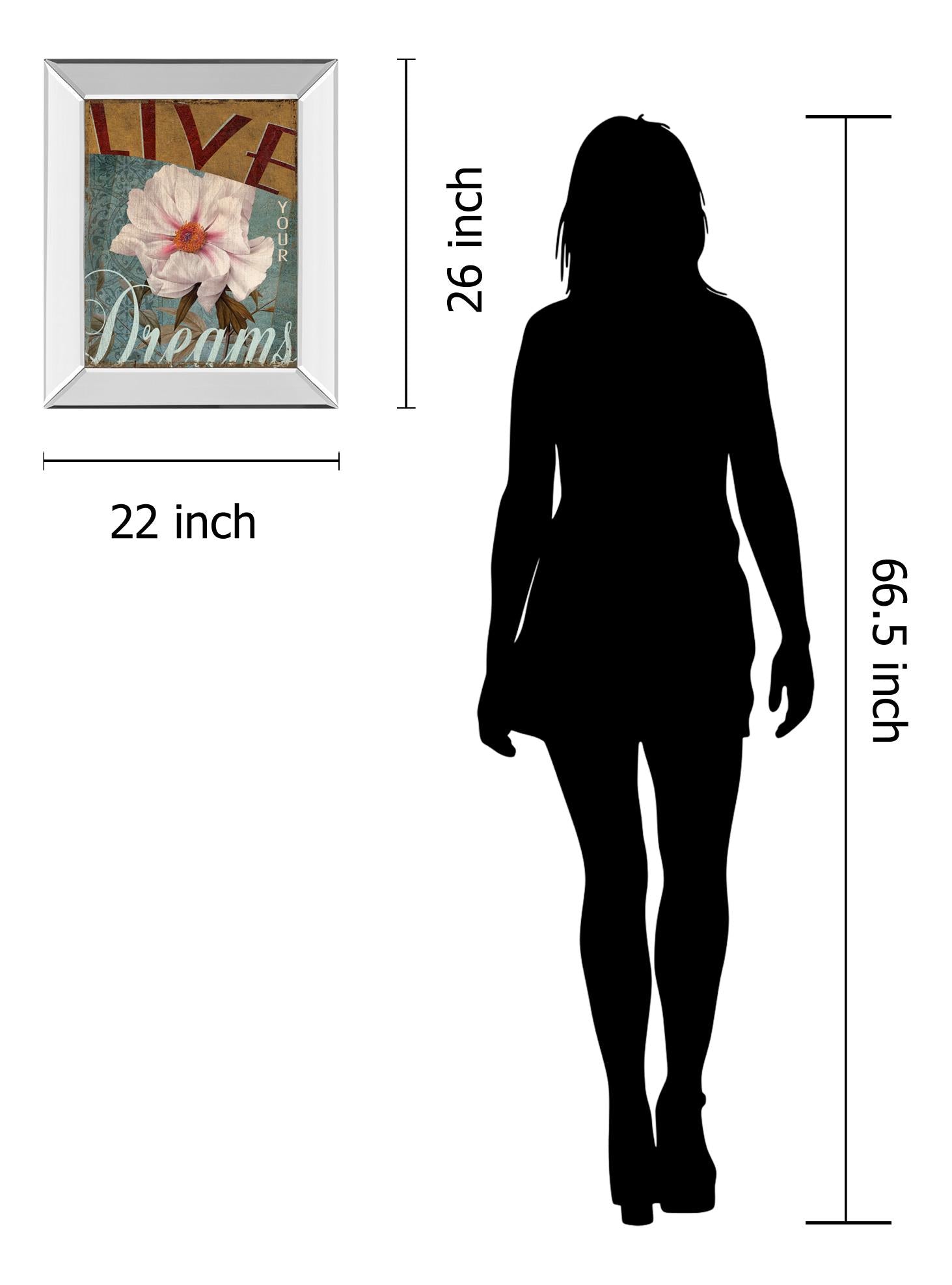 Mirrored Frame Live Your Dream By Kelly Donovan 22X26 Mirror Frame Print