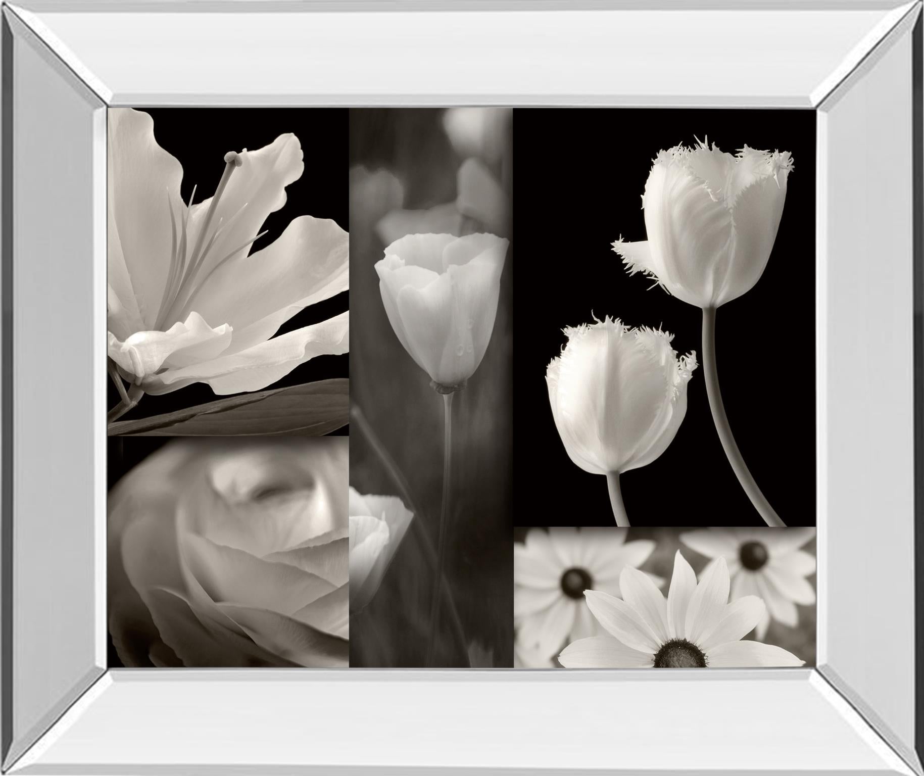 Mirrored Frame Summer Garden Ii By Dennis Frates 22X26 Mirror Frame Print