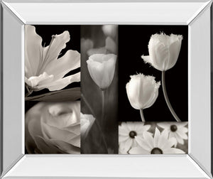 Mirrored Frame Summer Garden Ii By Dennis Frates 22X26 Mirror Frame Print