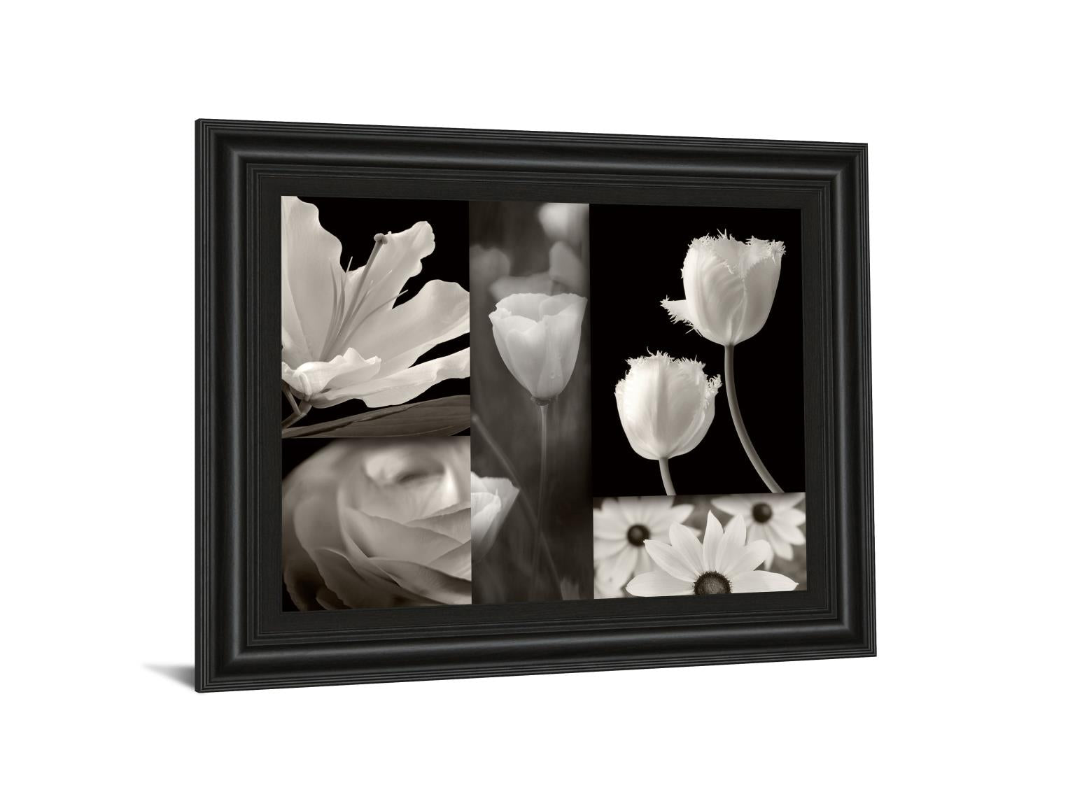 Summer Garden Ii By Dennis Frates 22X26 Framed Print