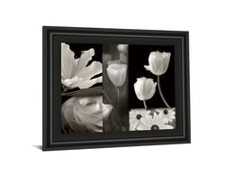 Summer Garden Ii By Dennis Frates 22X26 Framed Print