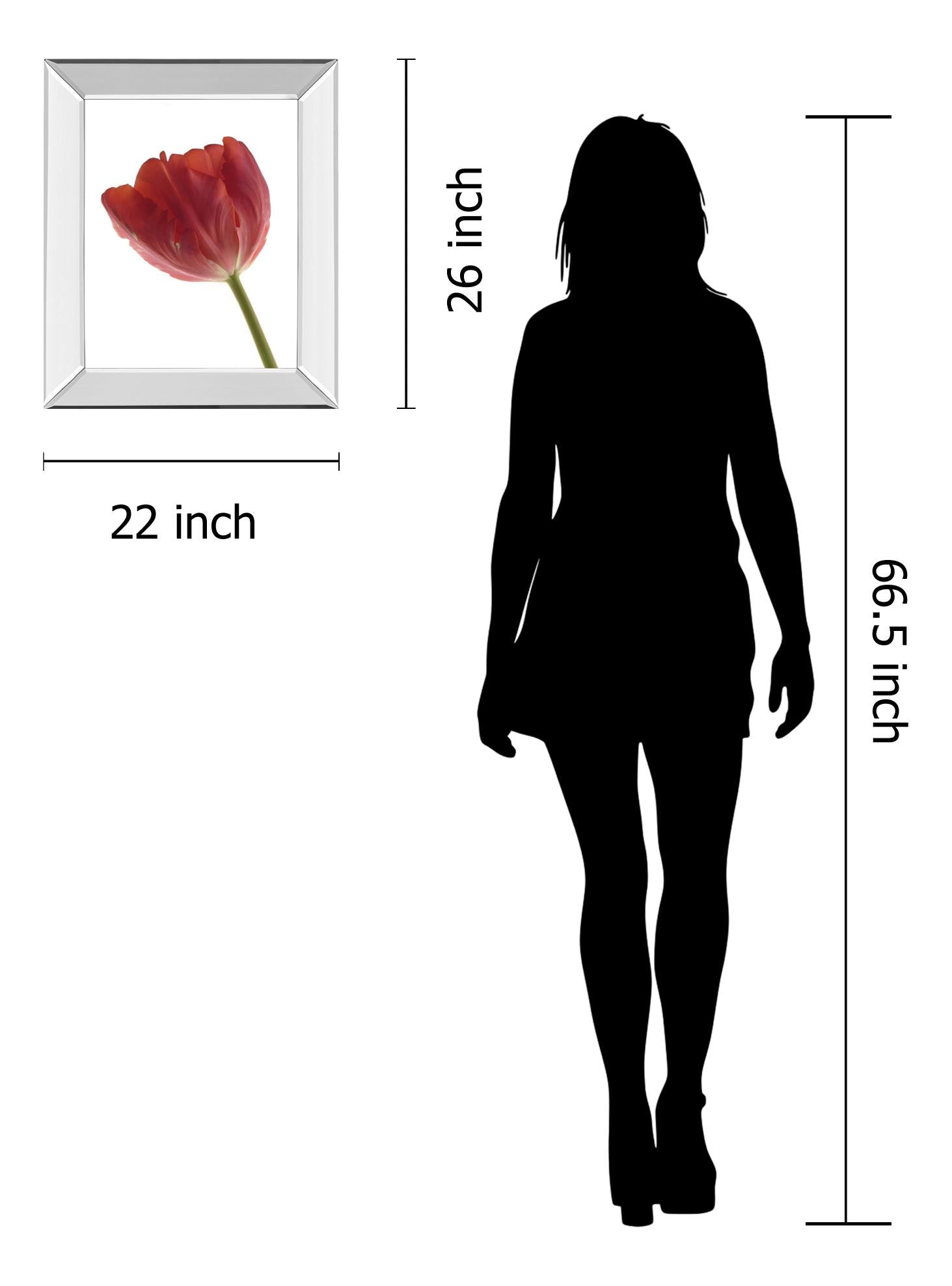 Mirrored Frame Red Tulip By Art Photo Pro 22X26 Mirror Frame Print