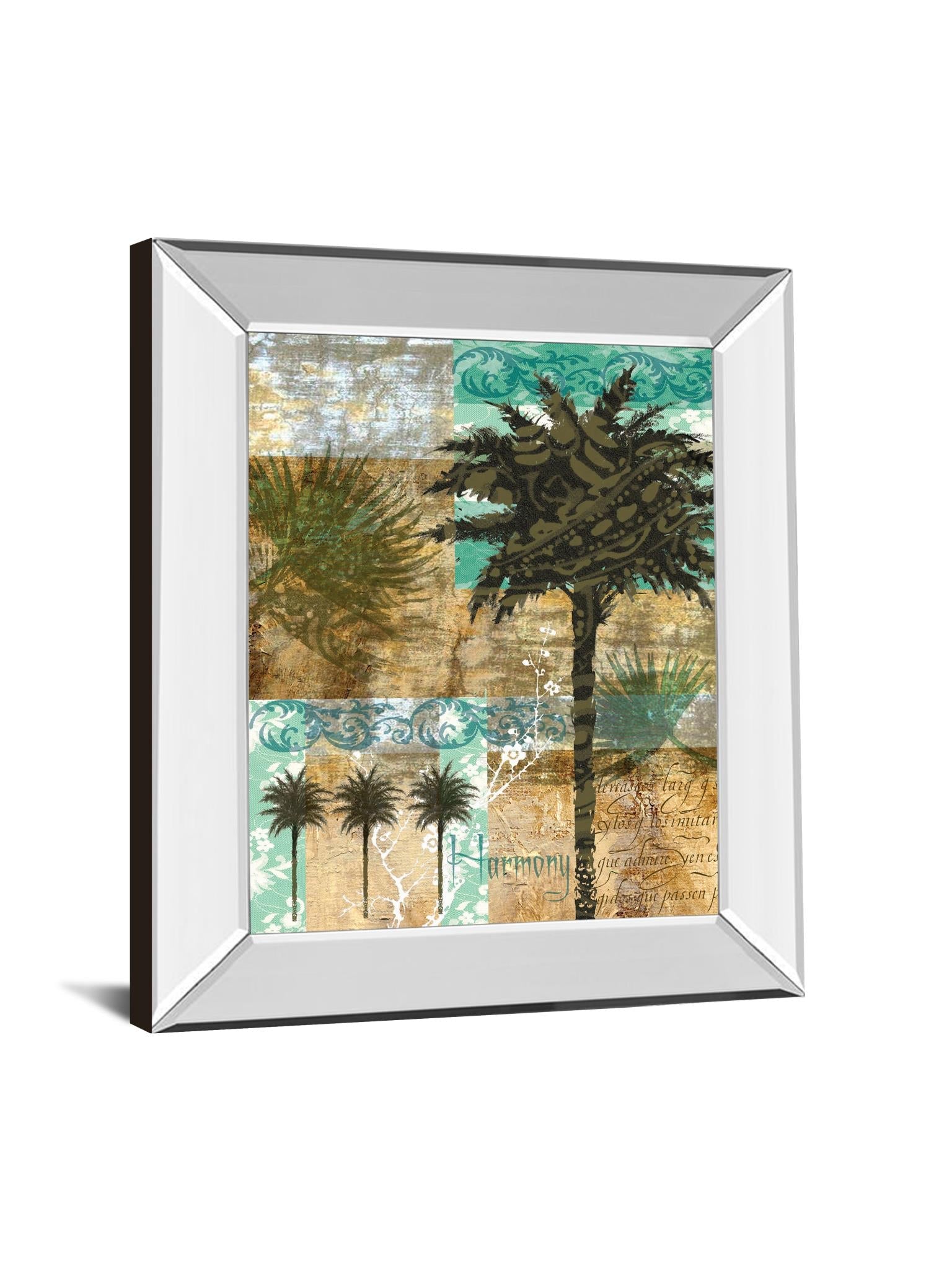 Mirrored Frame Palm Iii By Maeve Fitzsimons 22X26 Mirror Frame Print
