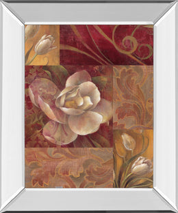 Mirrored Frame Variety Of Style I By Elaine Vollherbst-Lane 22X26 Mirror Frame Print