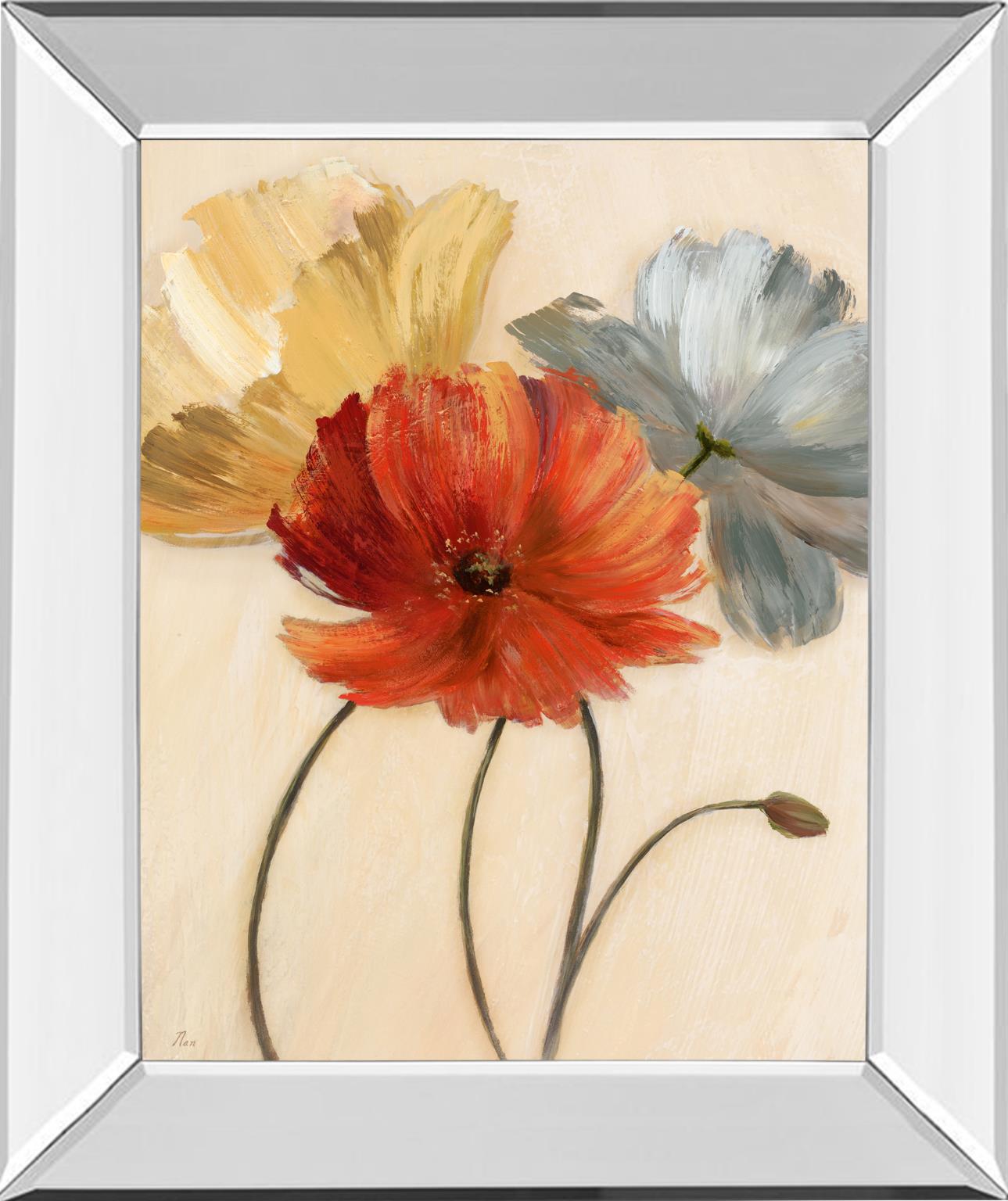 Mirrored Frame Poppy Palette I By Nan 22X26 Mirror Frame Print