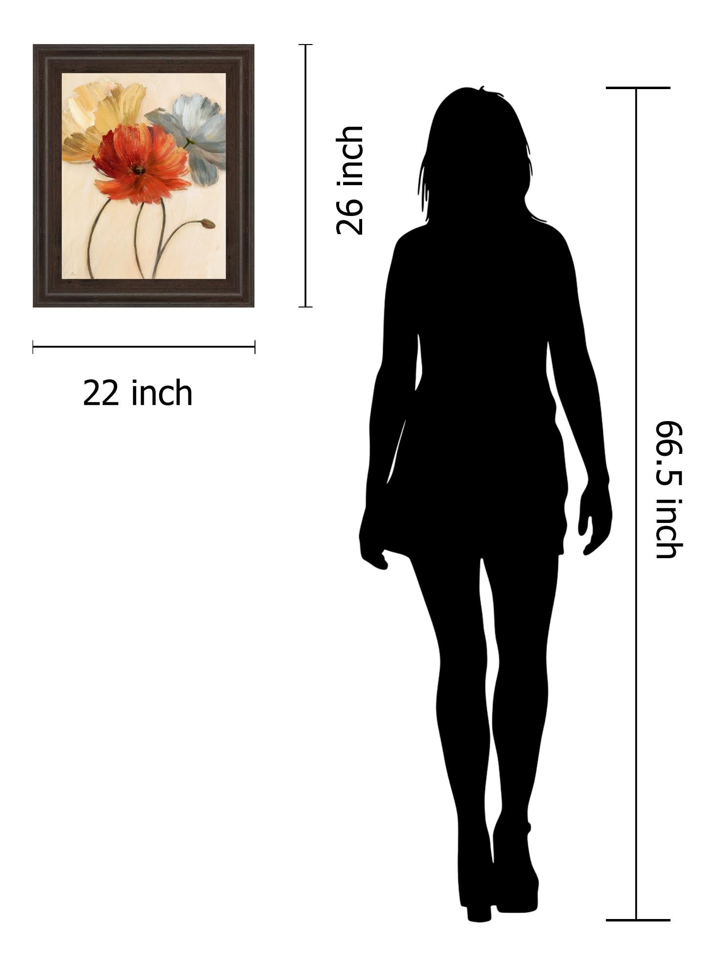 Poppy Palette I By Nan 22X26 Framed Print