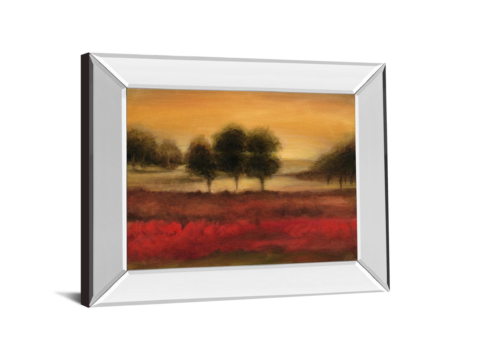 Mirrored Frame Printed Mcintire Grove Ii By Ethan Harper 22X26 Mirror Frame Print