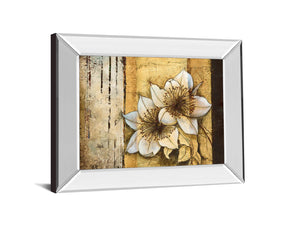 Mirrored Frame Exotic On Gold I By Patty Q 22X26 Mirror Frame Print
