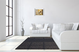Mirrored Frame Exotic On Gold I By Patty Q 22X26 Mirror Frame Print