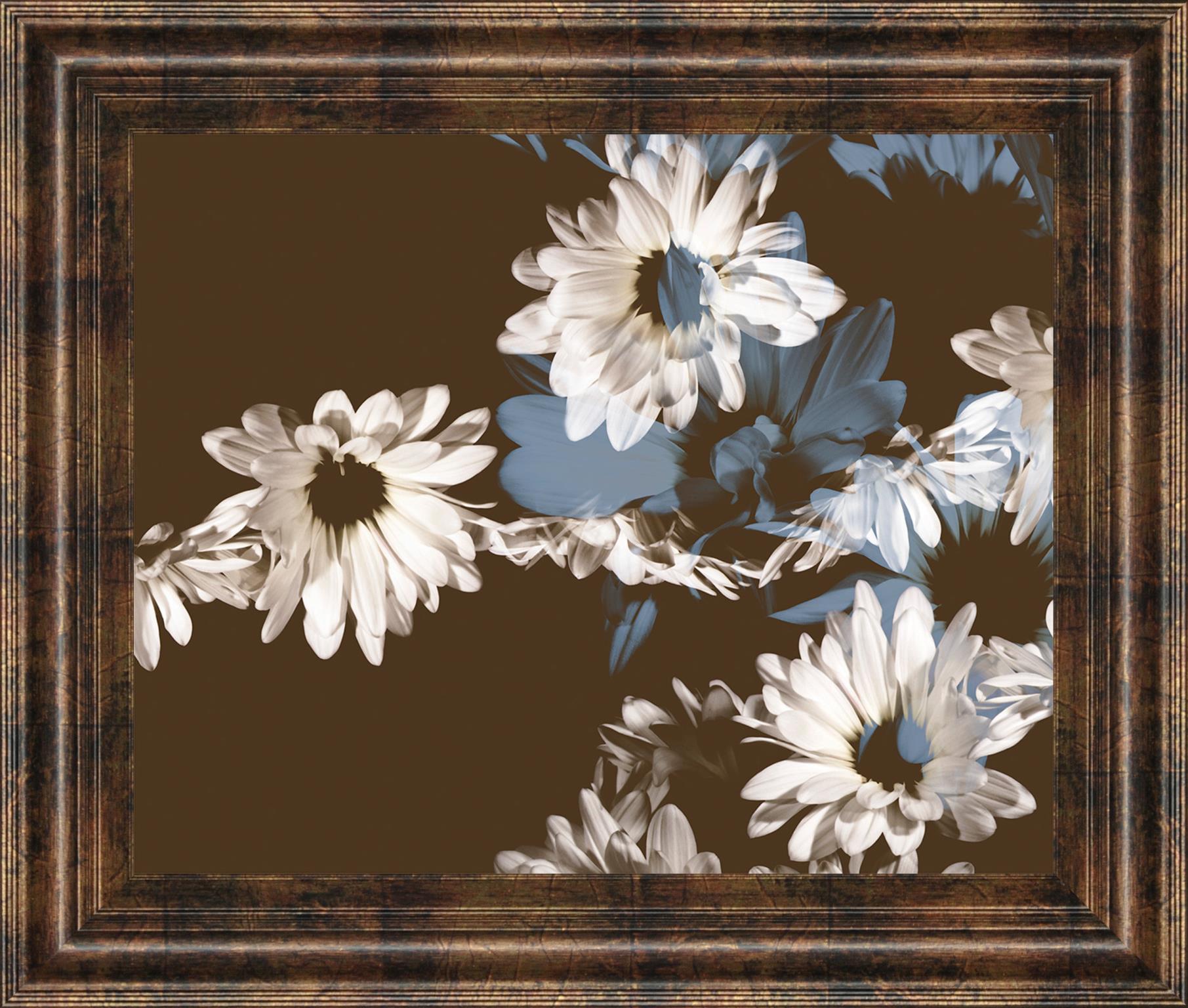 Chocolate Bloom Ii By A.Project 22X26 Framed Print