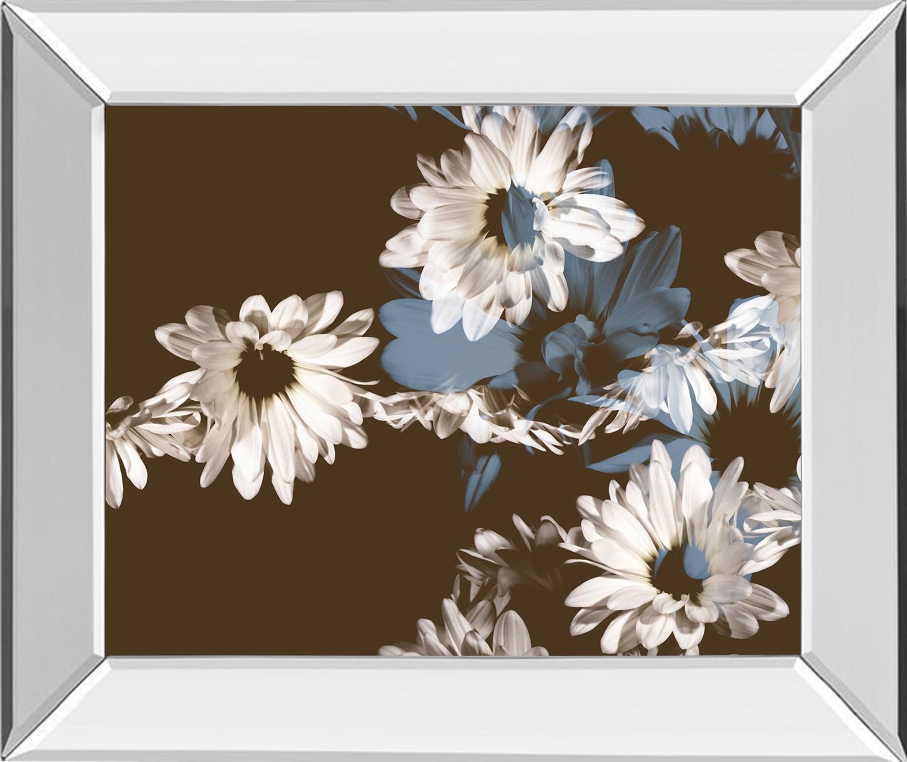 Mirrored Frame Chocolate Bloom Ii By A.Project 22X26 Mirror Frame Print