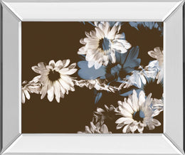 Mirrored Frame Chocolate Bloom Ii By A.Project 22X26 Mirror Frame Print