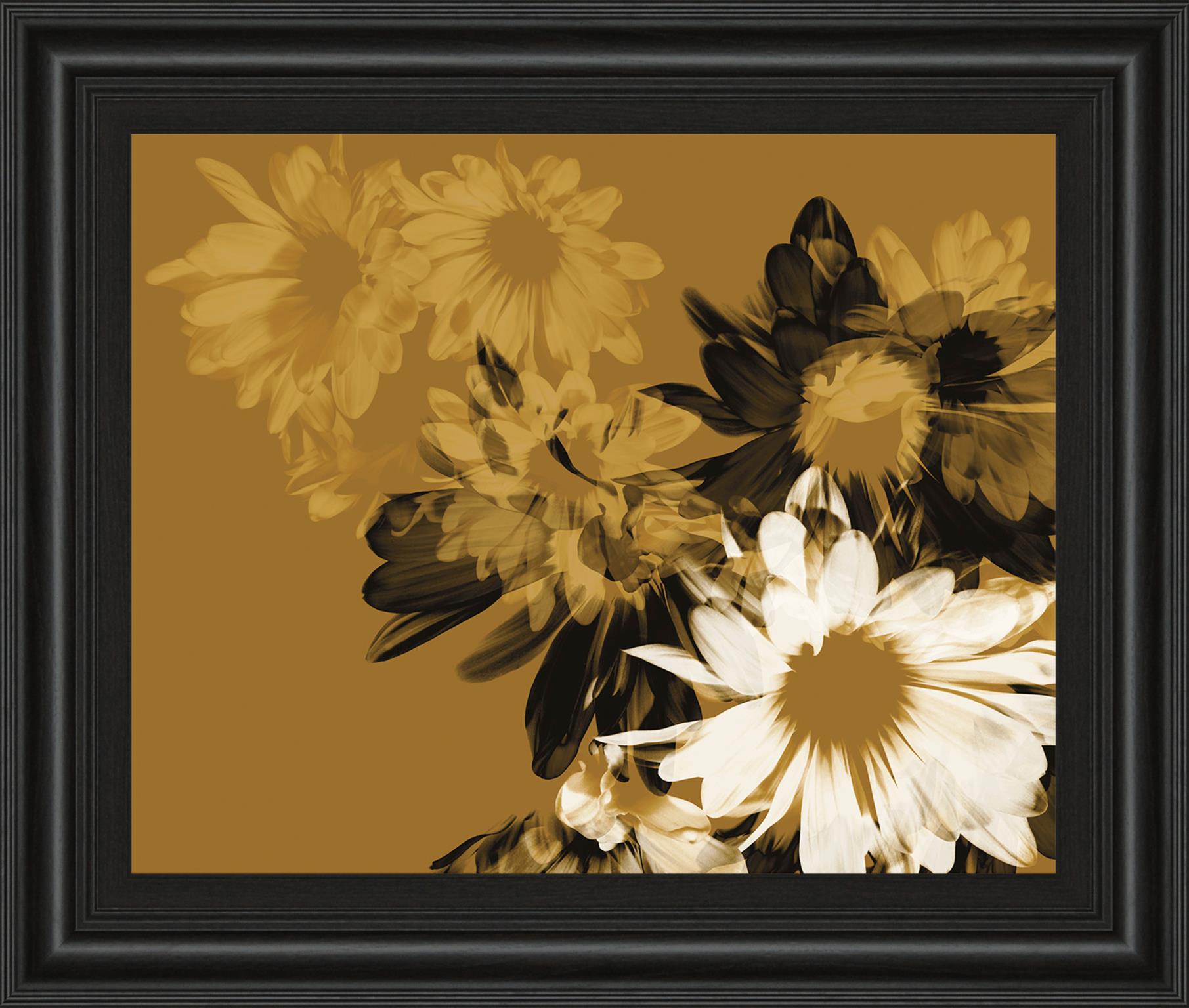 Golden Bloom Ii By A.Project 22X26 Framed Print