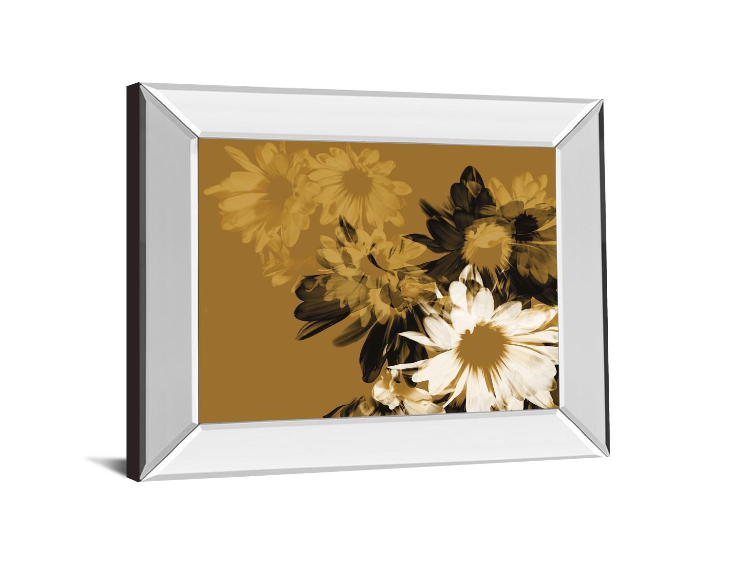 Mirrored Frame Golden Bloom Ii By A.Project 22X26 Mirror Frame Print