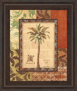 Palmaceae Ii By Gregory Gorham 22X26 Framed Print