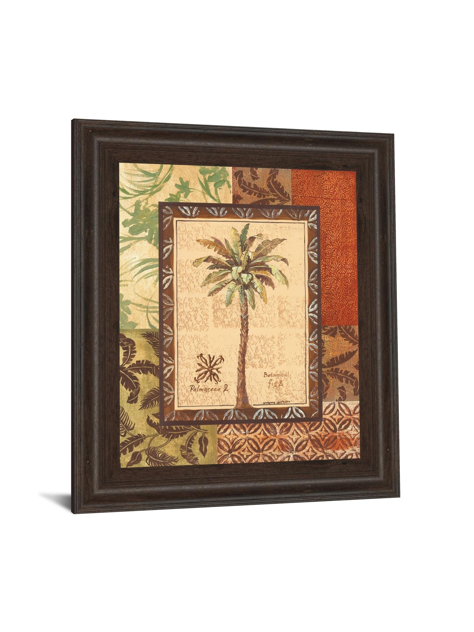 Palmaceae Ii By Gregory Gorham 22X26 Framed Print